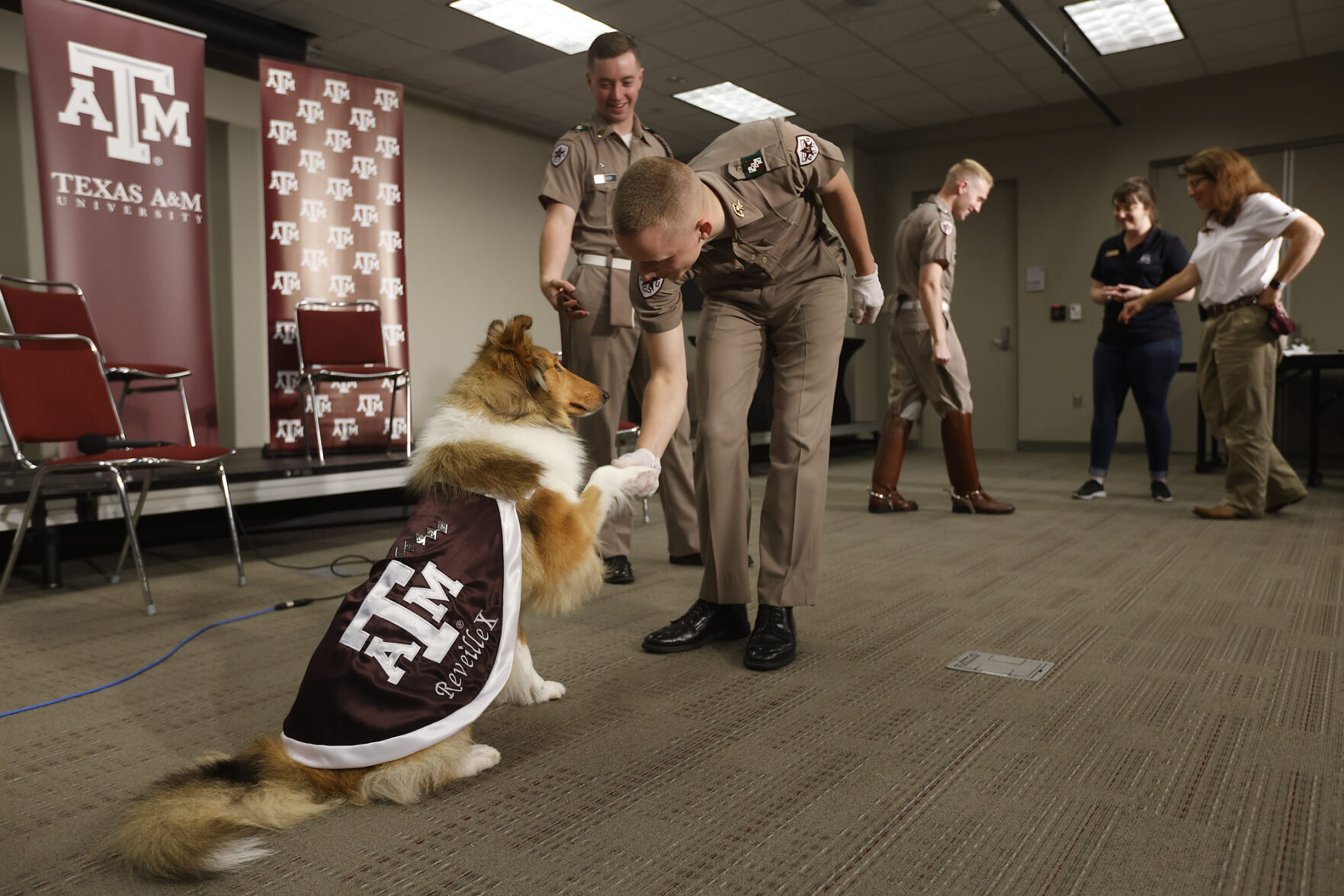 Reveille X